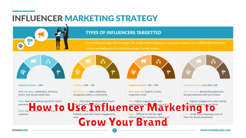 How to Use Influencer Marketing to Grow Your Brand